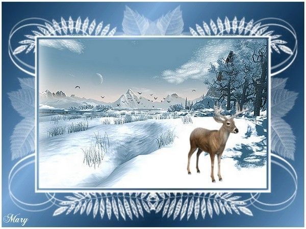Paysage d'hiver !!!
