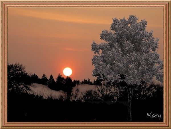 Bon Dimanche 5d764738