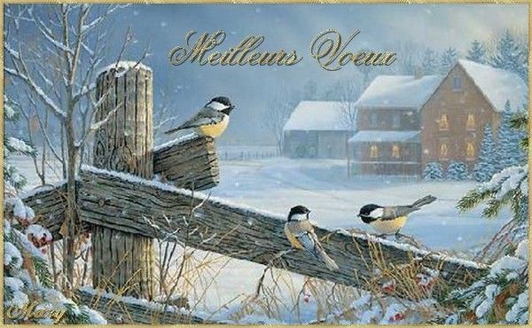 carte bonne annee paysage