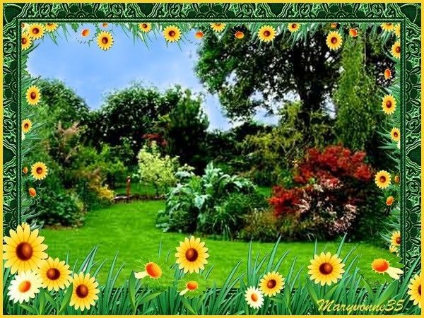 Paysage de la nature !!!!