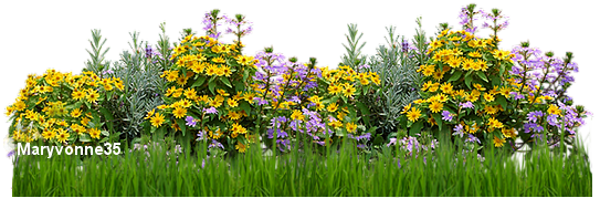buisson-de-fleurs_1.png