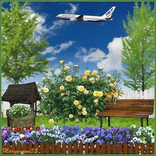 Le petit coin  du jardin  fleuri !!!