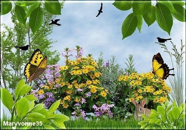 Un petit coin  printanier 