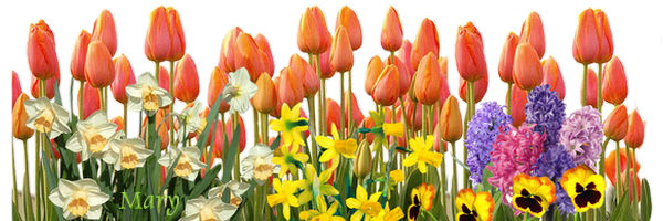 fond-tulipe.png
