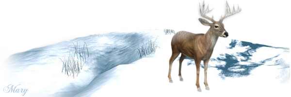 le-cerf.png
