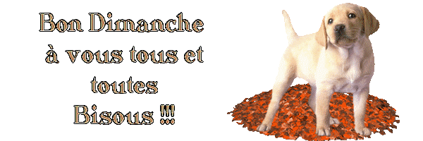 Bon Dimanche Roxy_2