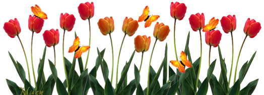 tulipe-papillons.png
