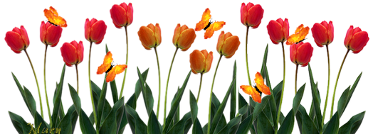 tulipe-papillons3.png